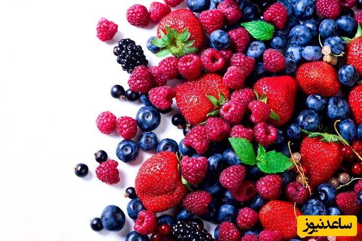 دیدن توت در خواب چه تعبیری دارد؟ / تعبیر خواب توت + فیلم