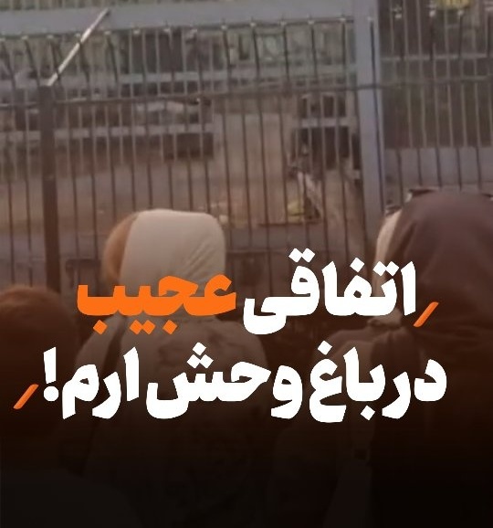 اتفاقی عجیب در باغ وحش ارم / فیلم وایرال شده از میمون که مردم را با شلنگ خیس آب کرد 🤣