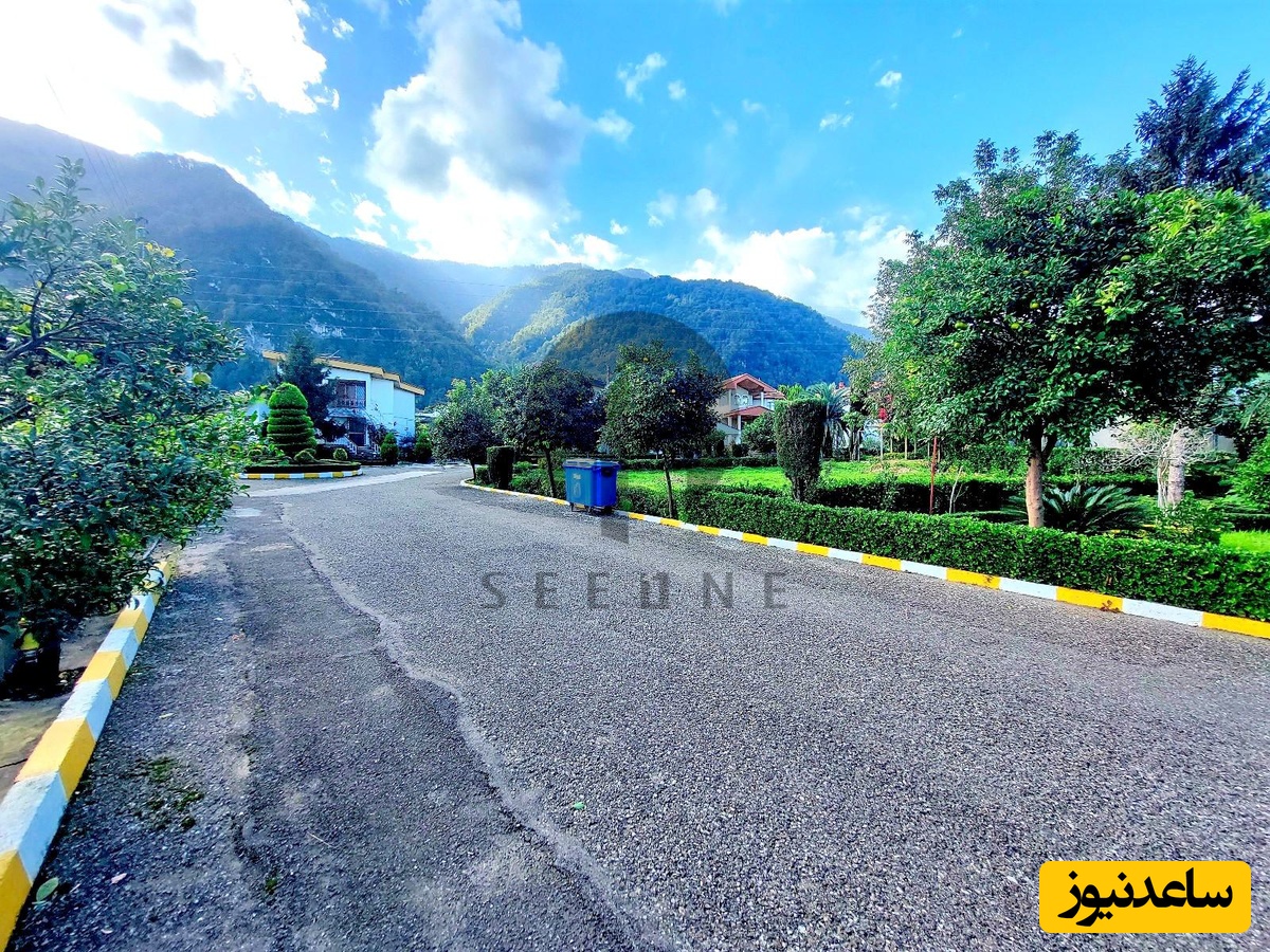 شهرک شالی نوشهر چلک 