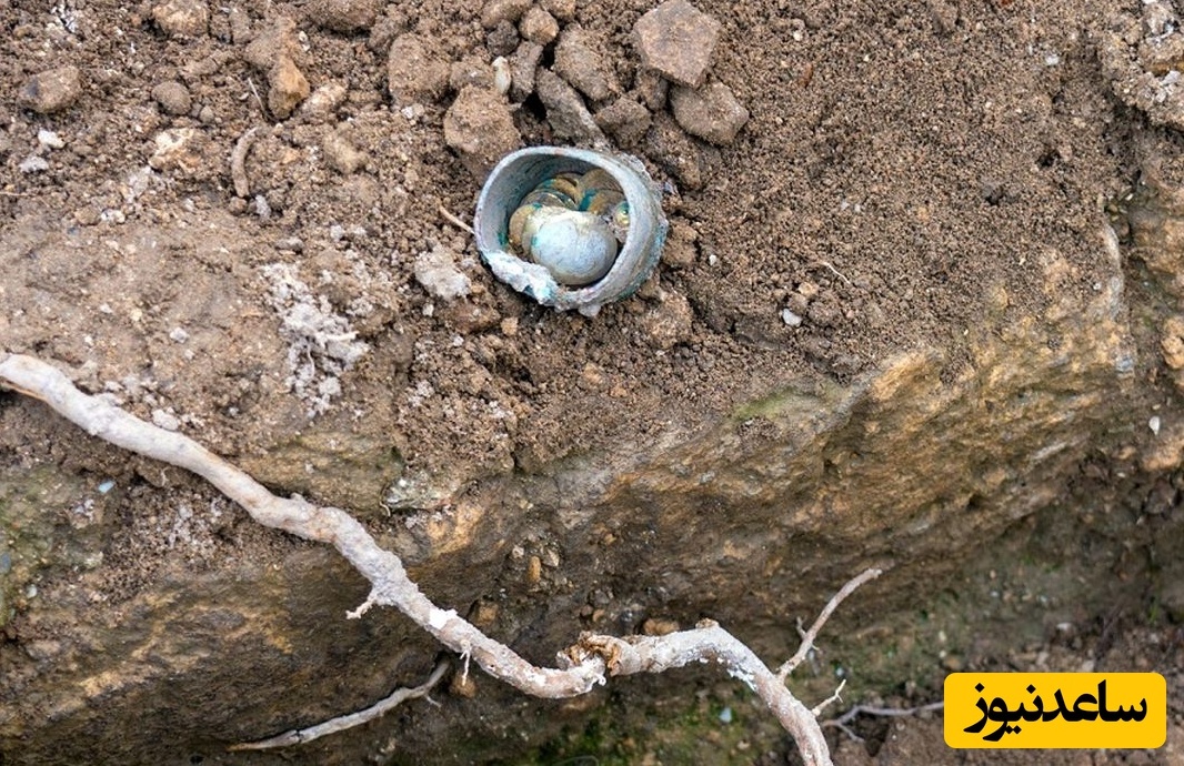 گنج «سکّه‌ها و گوشوارۀ طلا» مربوط به دوران «جنگ صلیبی» از زیر خاک بیرون آمد