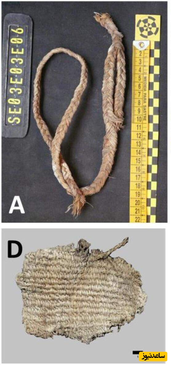یک تیرکمان علفی (A) و قطعه‌ای از سبد 150 ساله (D) که در لانه‌های لاشخور ریشدار پیدا شده‌اند