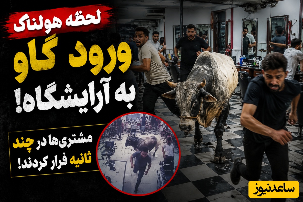 حمله هولناک گاو قربانی به آرایشگاه مردانه / مشتری‌ها در چند ثانیه فرار کردند 😂+ فیلم دوربین مداربسته