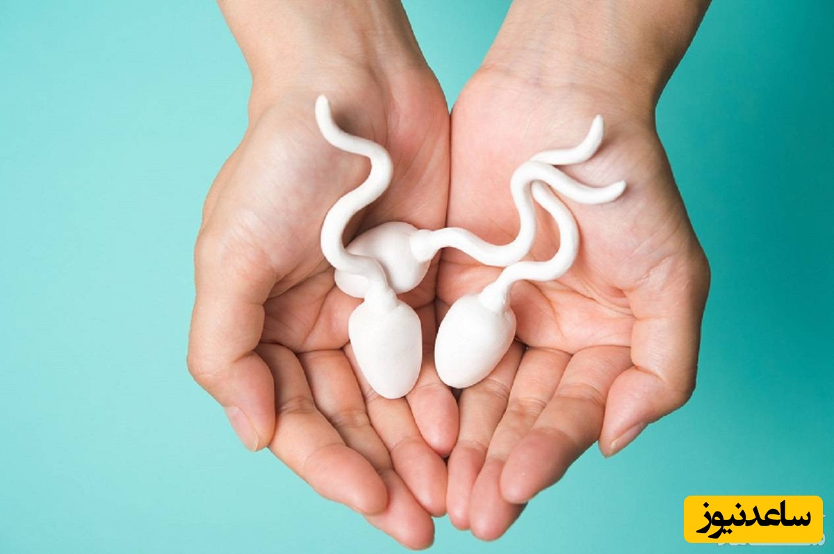 راهنمای جامع تقویت اسپرم مردان | درمان ناباروری با تغذیه، ویتامین و سبک زندگی سالم