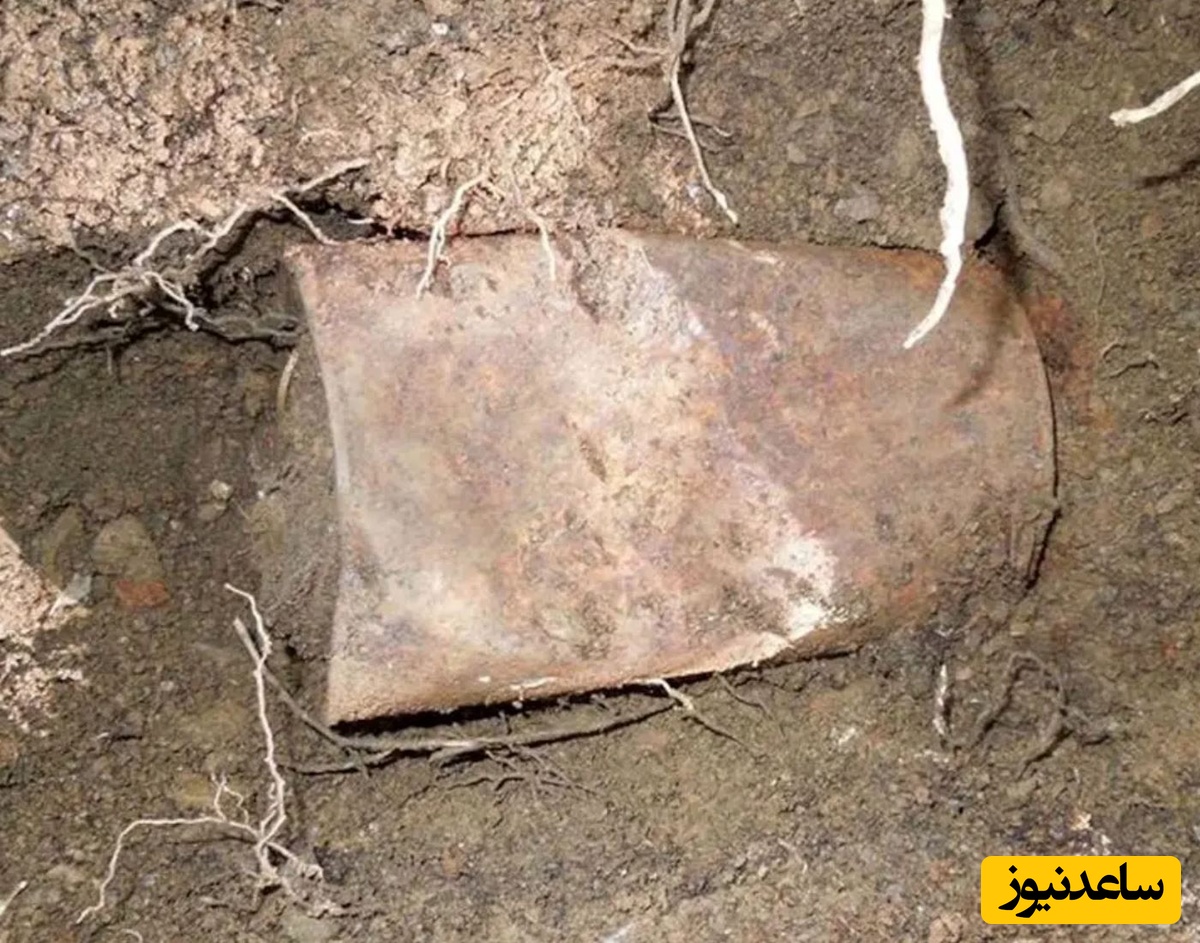 گنج بزرگ سکه‌های طلا که در «قوطی» پیدا شد