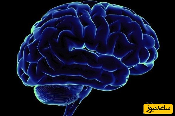 رونمایی از دستگاه «ثبت دقیق امواج مغزی»