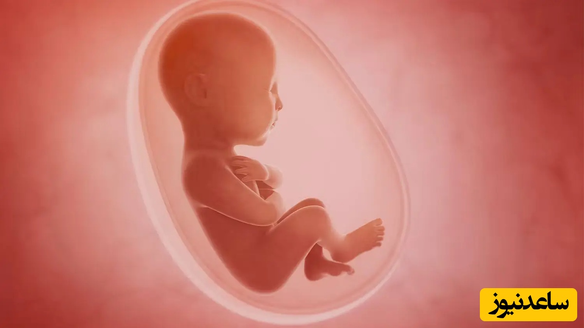 باور می‌کنید جنین هم مزه‌ها را حس می‌کند؟ / اولین تجربه چشایی انسان قبل از تولد