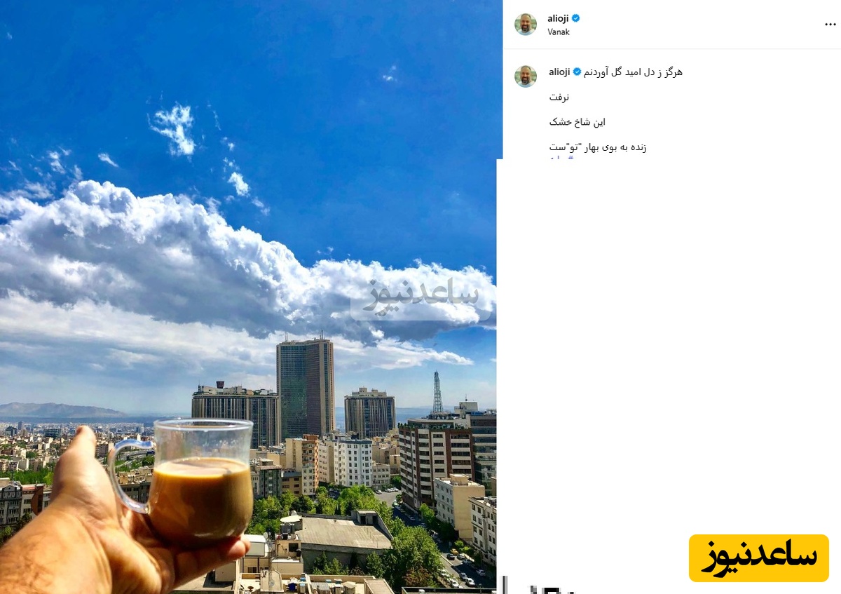 چیدمان منزل علی اوجی و نرگس محمدی