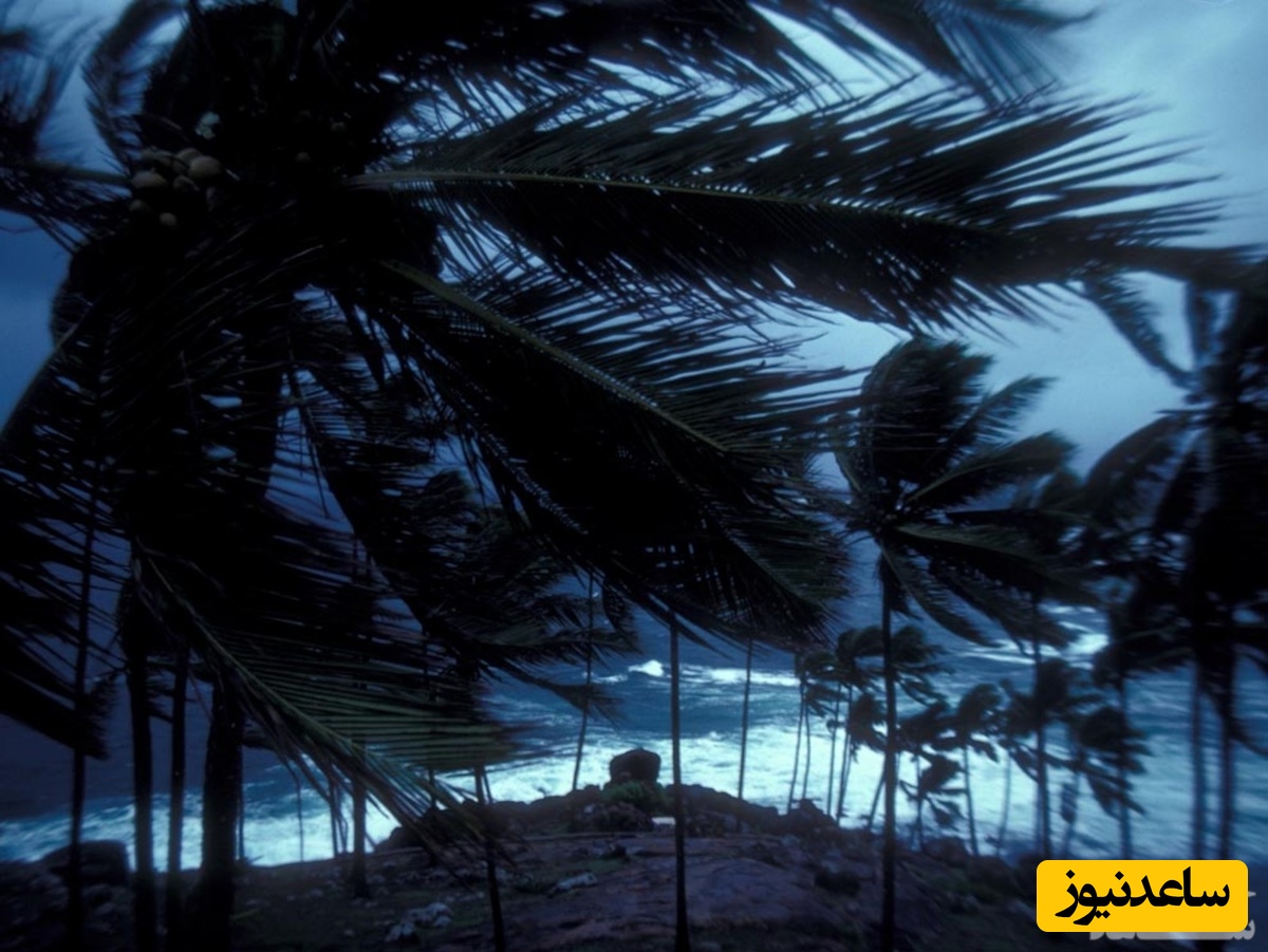 دیدن باد و بوران در خواب چه تعبیری دارد؟/ تعبیر خواب باد و بوران