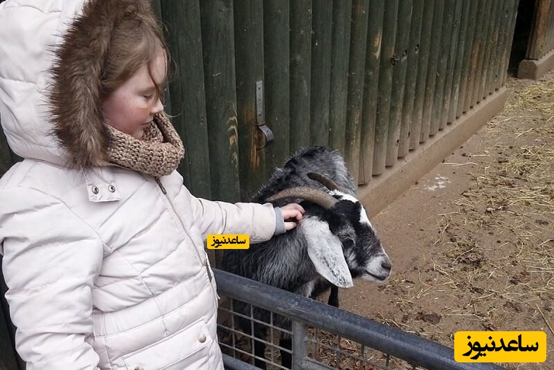 باغ وحش هلابرون