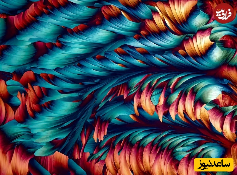 بلوری شدن محلولی ترکیبی از Alanine و Glutamine