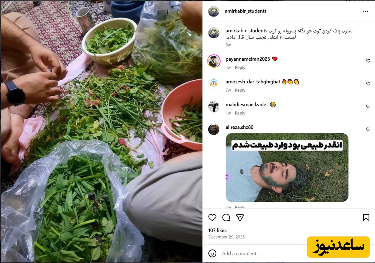 دانشگاه امیرکبیر