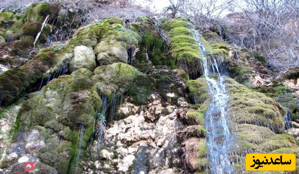 روستای لاویج