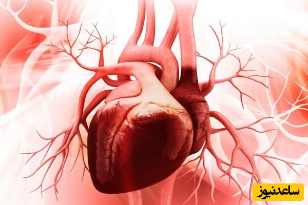 هوش مصنوعی قلب «ترمیمی» ساخت! فناوری جدید که بدون جراحی، آسیب‌های قلب را درمان می‌کند