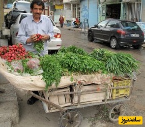 ایده تحسین برانگیز سبزی فروش خوش ذوق سر کوچه حماسه ساز شد +عکس/ماشاءالله استعداد...