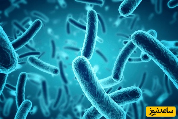 دانلود رایگان دفترچه سوالات و پاسخنامه آزمون دکتری رشته باکتری شناسی سال 97