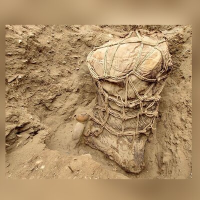 کشف جسد «بغچه‌پیچ» 500 ساله در کشور پرو