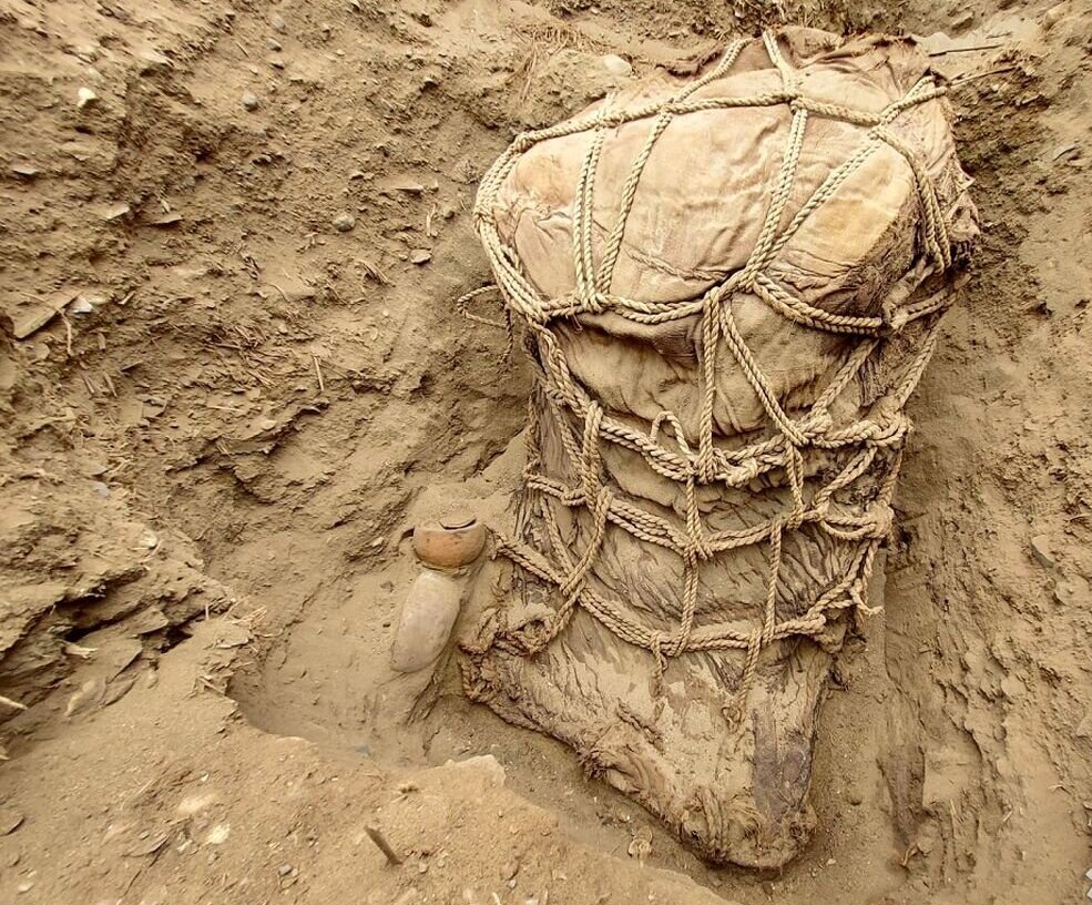 کشف جسد «بغچه‌پیچ» 500 ساله در کشور پرو