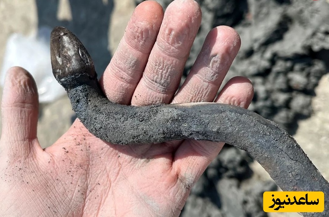 گنج «مارِ نگهبان» بعد از دو هزار سال از «چشمۀ آبگرم» بیرون آمد