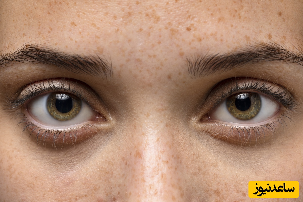 چشمات تیزه؟ ببر قایم‌شده بین گورخرها رو فقط تو 8 ثانیه پیدا کن...