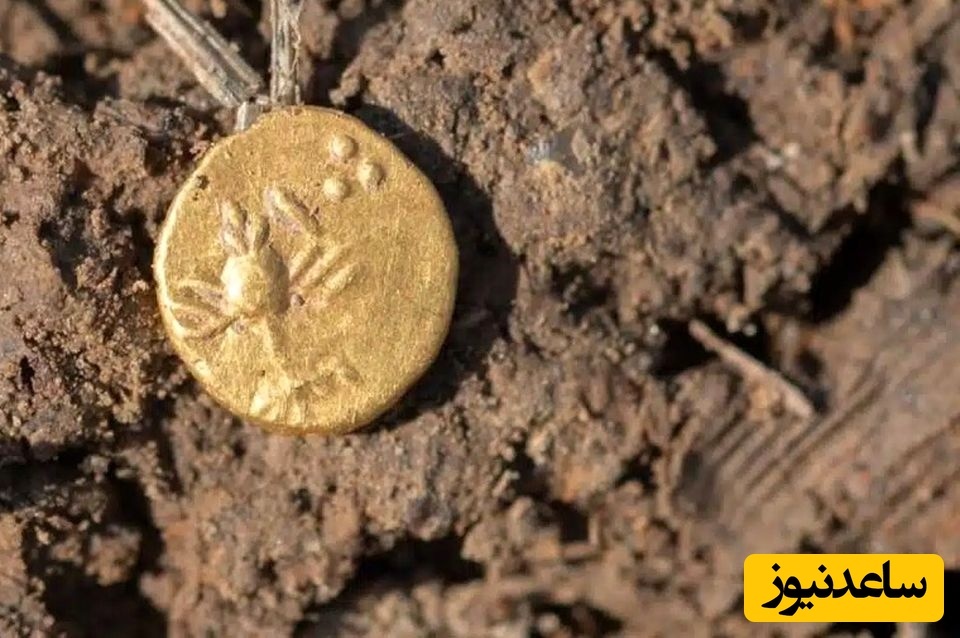 گنج سکّه‌های باستانی در یک مکان غیرمنتظره کشف شد