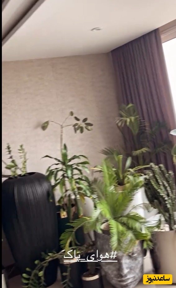 چیدمان منزل علیرضا نیکبخت