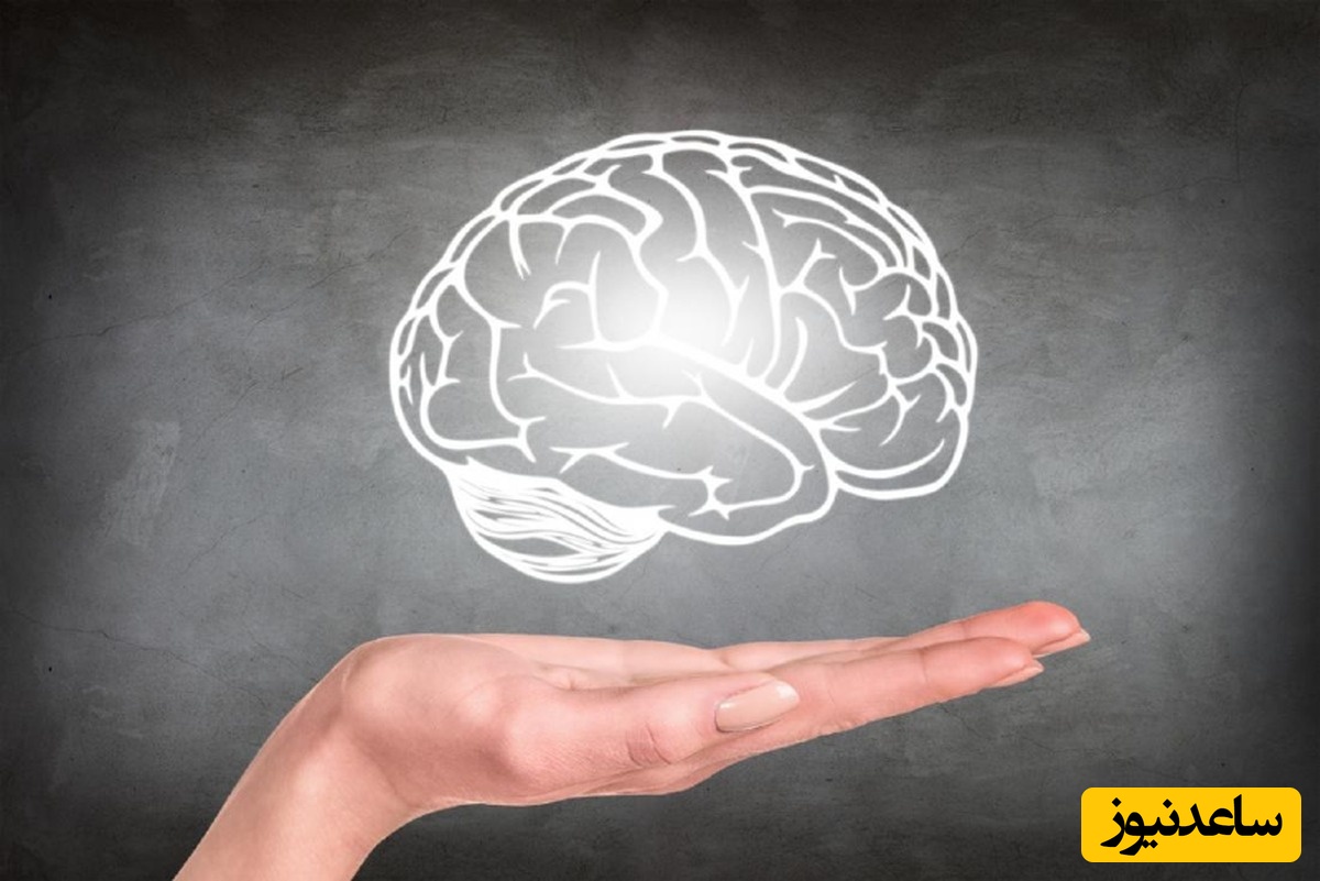 12 علامتی که نشان می‌دهد شما واقعا باهوش هستید / ببین وضعیتت چجوریه!