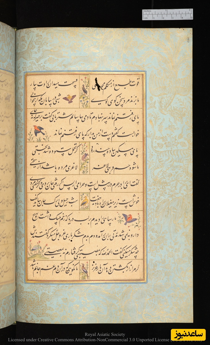 گلستان سعدی به خط محمدحسین کشمیری و نقاشی مانوهار داس نسخهٔ کتابخانهٔ دیجیتال دانشگاه کمبریج