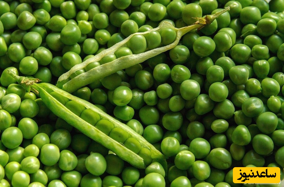 فواید و عوارض خوردن نخود فرنگی در بارداری