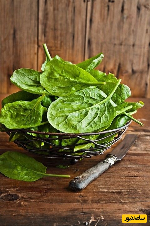 دیدن اسفناج در خواب چه تعبیری داد؟ / تعبیر خواب اسفناج