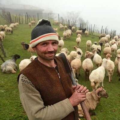 (فیلم) خواب چوپان در لایو اینستاگرام خبرساز شد / گوسفندی که 30 هزار فالوور جذب کرد!