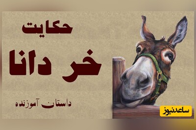 حکایت‌های شنیدنی کوتاه/ گفت‌وگوی خارق‌العاده یک خر دانا با پادشاهی که دنبال عدالت بود