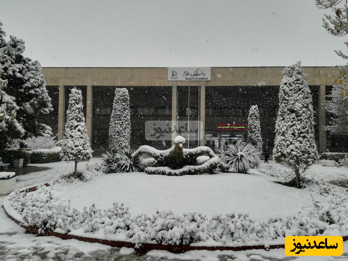 (ویدیو) وقتی برف دانشگاه فردوسی را در آغوش می‌گیرد/ دانشگاهی غرق در شعر،خاطره و سکوت زمستان🤩