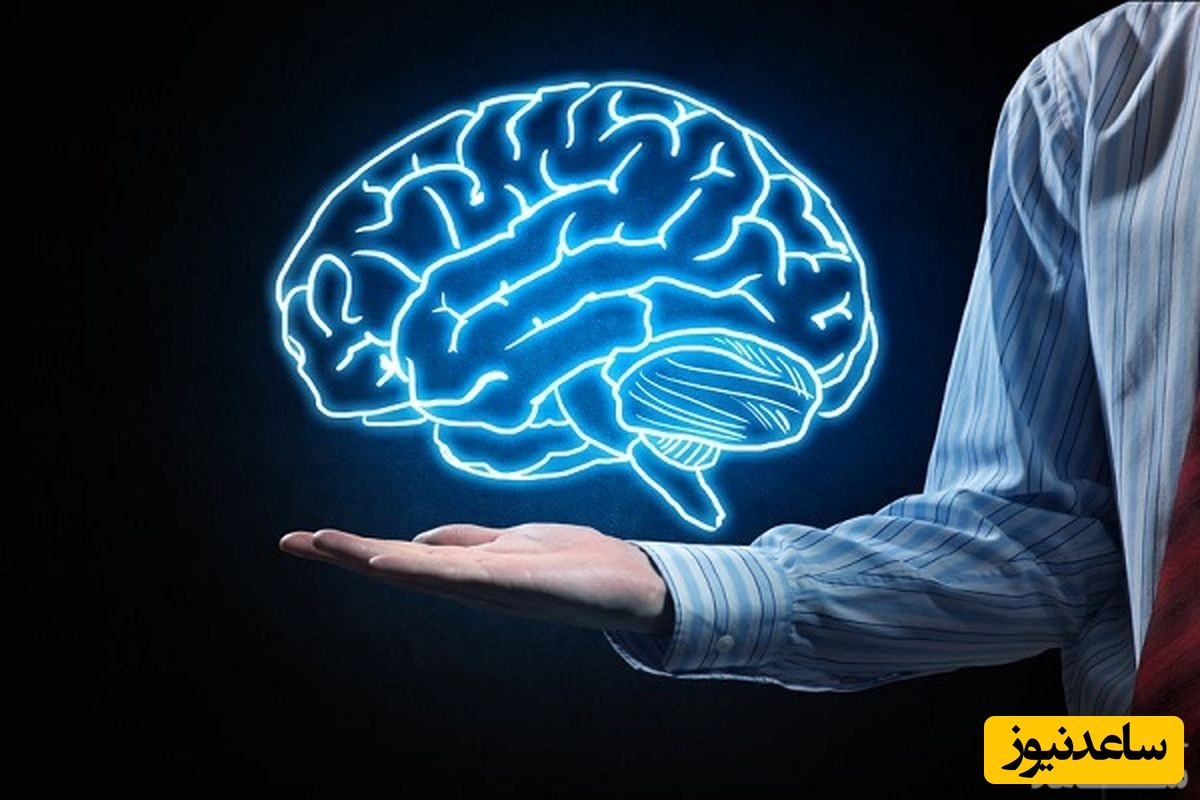 دیدن مغز در خواب چه تعبیری دارد؟ / تعبیر خواب مغز