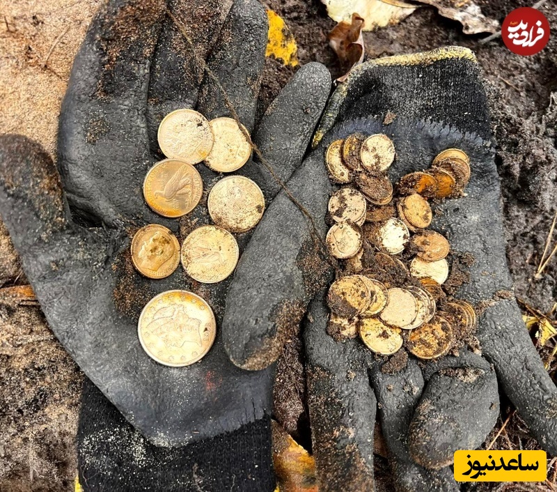سکه