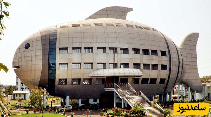 مرکز بین‌المللی توسعه شیلات، حیدرآباد هند