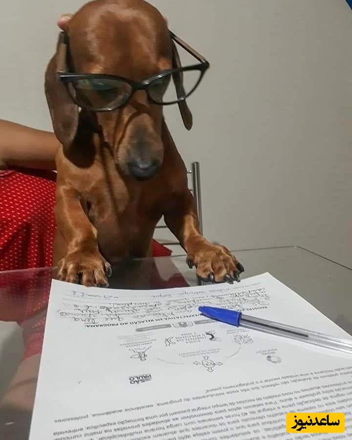 (ویدئو) نگاهی به شب امتحان ریاضی دانشجوها؛ چیزی که حتی تصورش هم نمی‌کنید! / دقیقا این وضعیت حق کسیه که طول ترم درس نخونده🤣