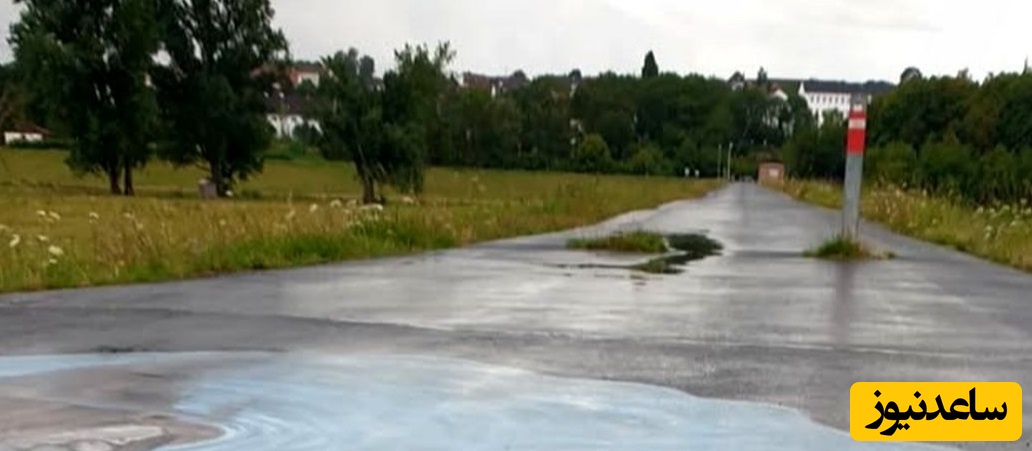 خلاقیت مشاغل: وقتی هنرمند از خیابون برکه میسازه! تبدیل آسفالت خیابان به برکه‌ای وسط شهر، با یه اسب آبی بامزه/یه چیز جالب که تا حالا ندیدی عالیه😍👌+عکس