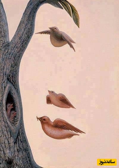 تست شخصیت شناسی