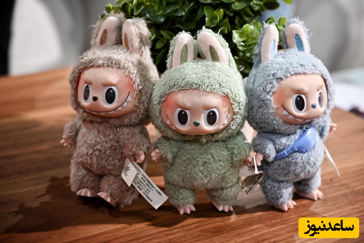 انتقاد عجیب یک خبرگزاری از لبوبو/ می‌خواهد جای حسین  فهمیده را بگیرد تا....