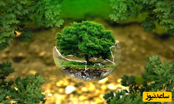 نمونه کارنامه و ظرفیت پذیرش رشته علوم و مهندسی محیط زیست در مقطع کارشناسی ارشد