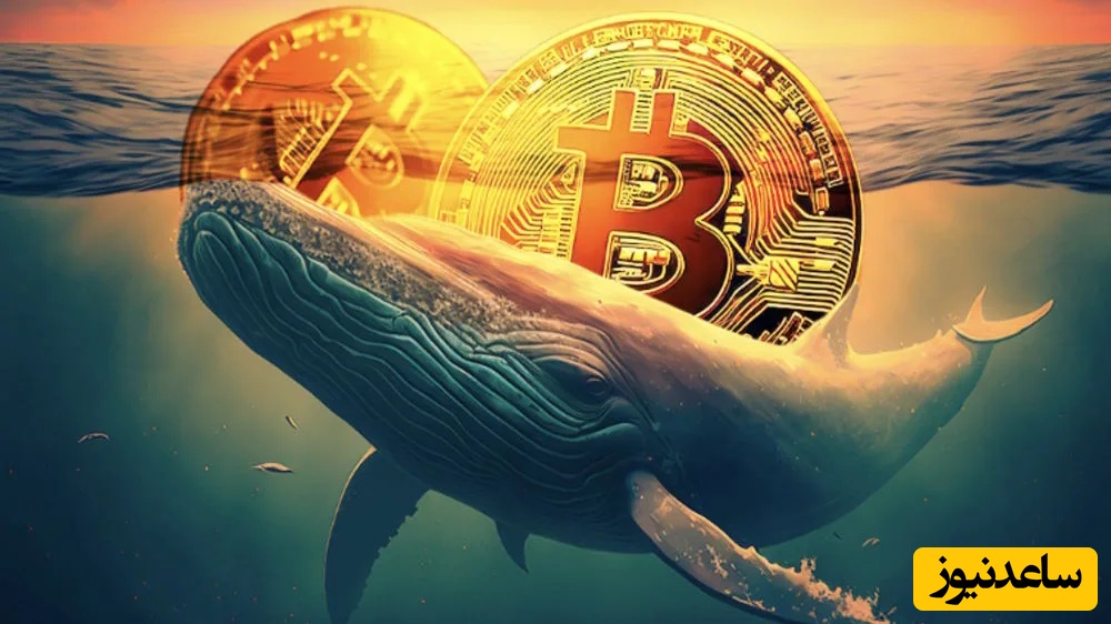 پول‌های بزرگ به سمت این ارز دیجیتال سرازیر شد؛ نهنگ‌ها چه چیزی می‌دانند که ما نمی‌دانیم؟