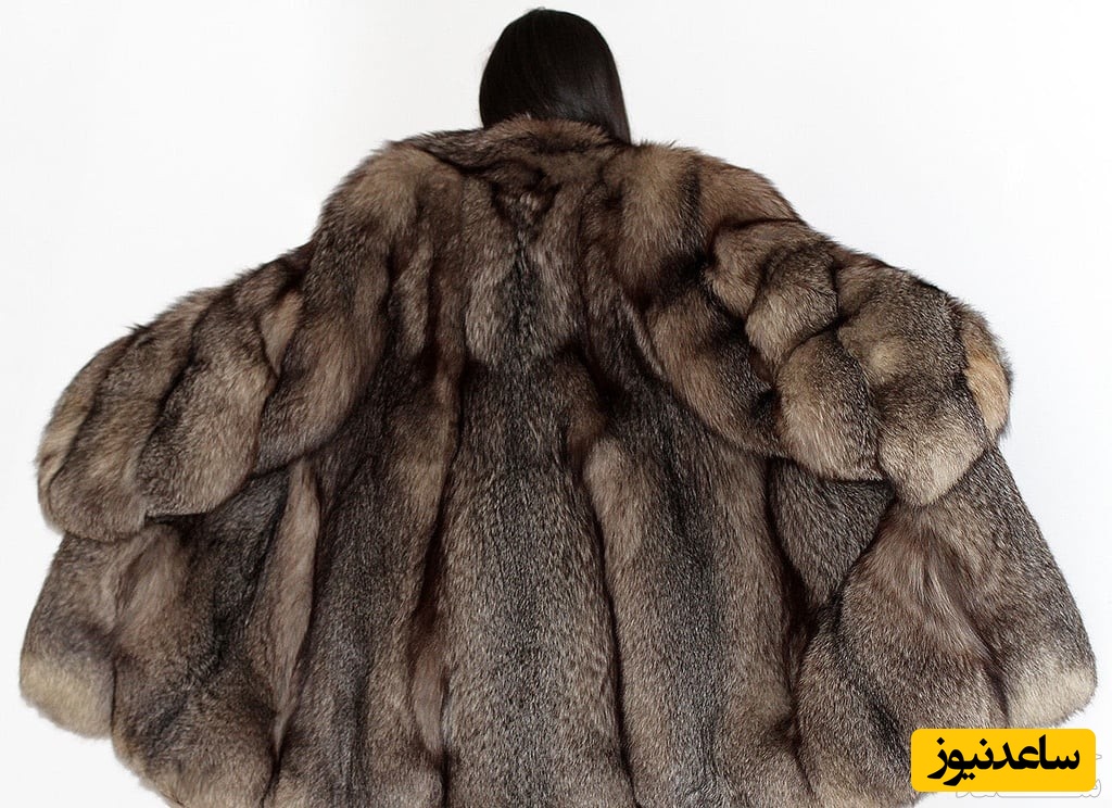 دیدن پوستین در خواب چه تعبیری دارد؟ / تعبیر خواب پوستین