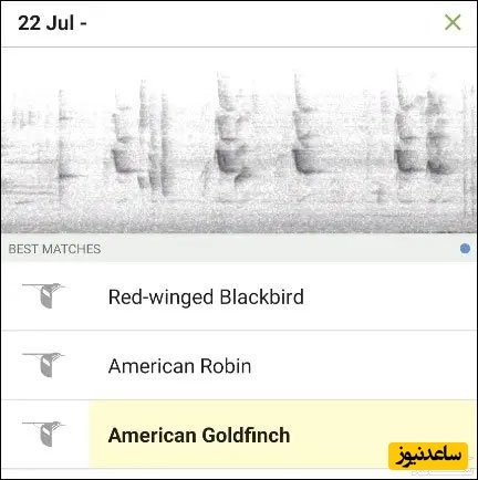 تصویراپ Merlin Bird ID