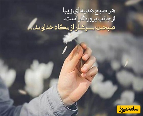 شکرگزاری صبحگاهی/ هنوز فرصت هست… این صبح تازه اومده تا یادت بندازه می‌تونی همه‌چیز رو از نو بسازی../ شکرگزاری امروز 1 اردیبهشت 1405+ ویدئو