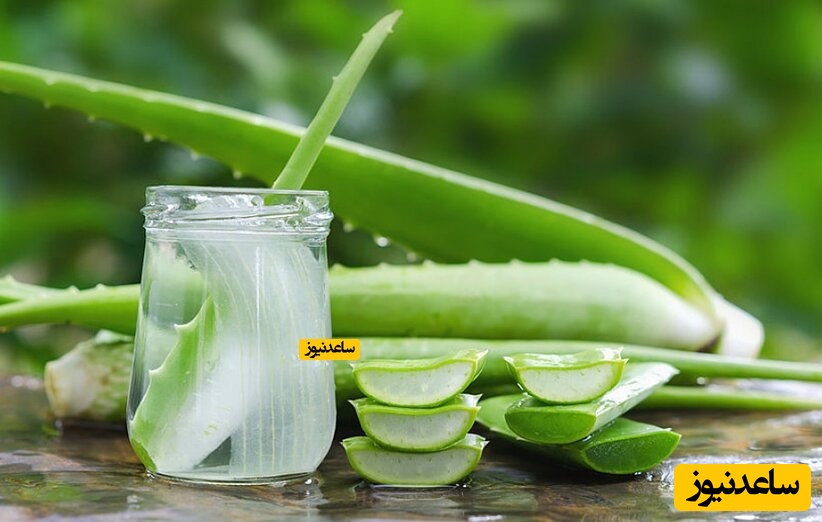 پوستر آلوورا