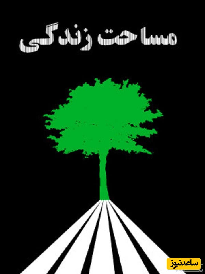 معرفی فیلم مساحت زندگی + داستان و بازیگران