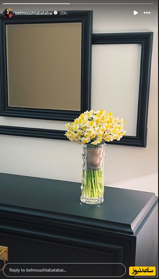 منزل بهنوش طباطبایی