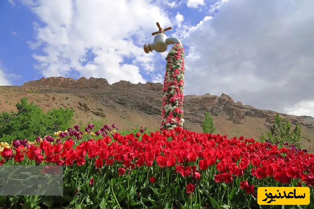 زیبایی ‌خیره کننده زیباترین دشت گل ایران/ دیدن این ویدیو کوتاه برای تمام عاشقان طبیعت و طبیعت گردی، به ویژه در بهار، ضروریست