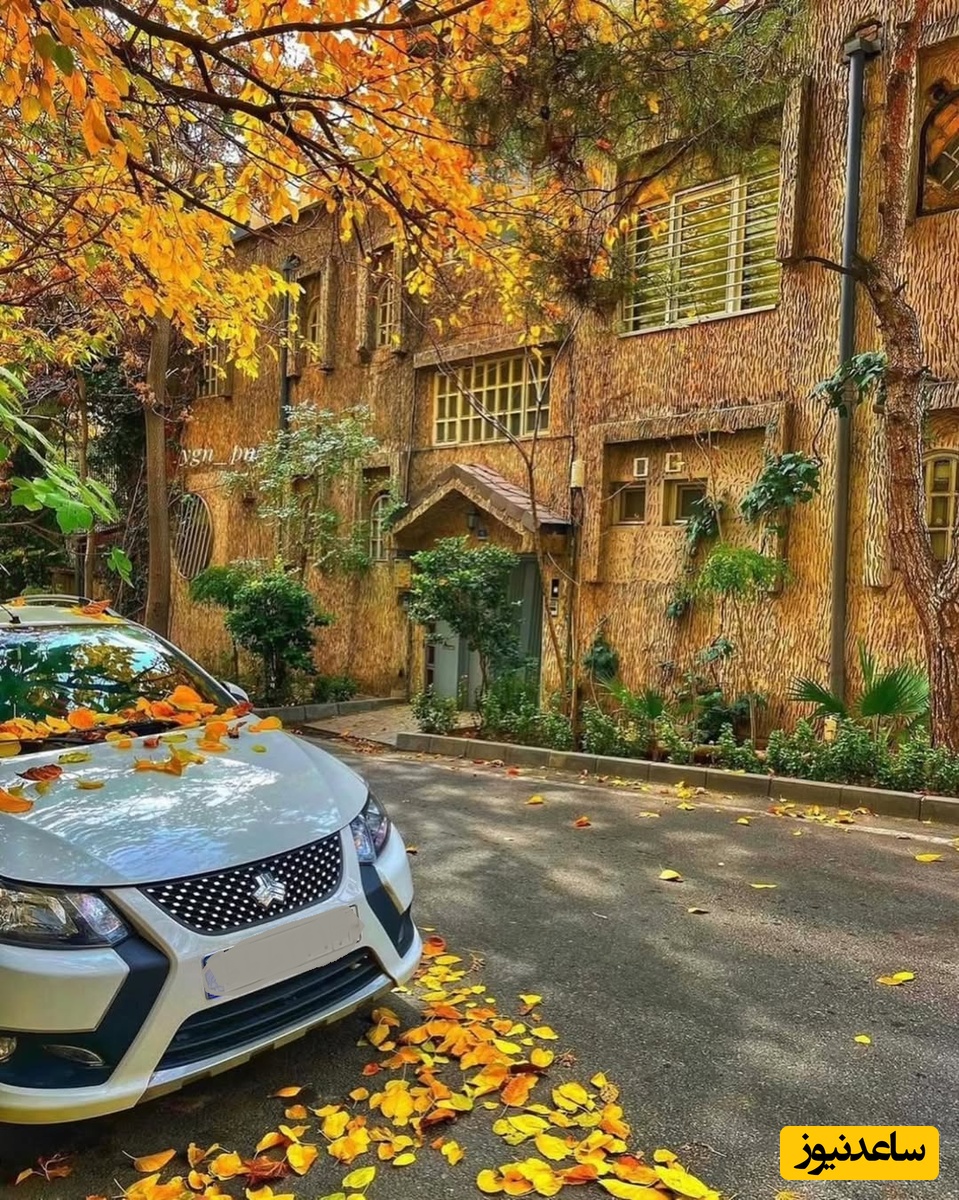 درخشان‌ترین خانه خیابان انقلاب با معماری منحصربفرد ایرانی/ داخل این خونه 100 ساله برعکس ظاهر ساده ولی دلبرش، عطر و بوی  زندگی داره