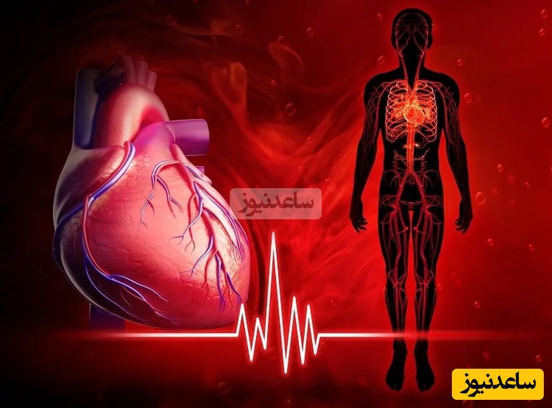 تصاویر هیجان انگیز و جالب از نوار قلب بدون استفاده از دستگاه الکتروگاردیو گرافی/ ترکیبی بینظیر از هنر و علم! +ویدیو